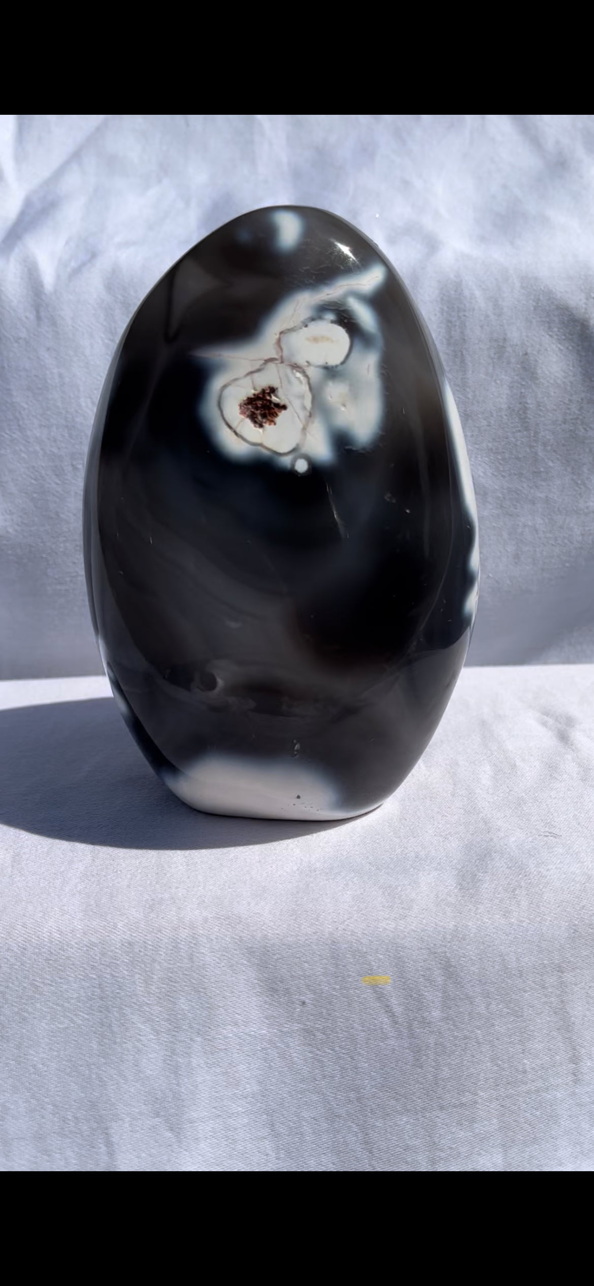 Orca Agate Freeforms