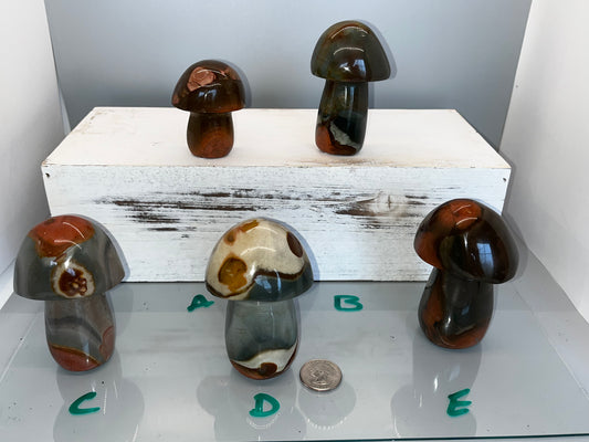 Polychrome Jasper Mushroom